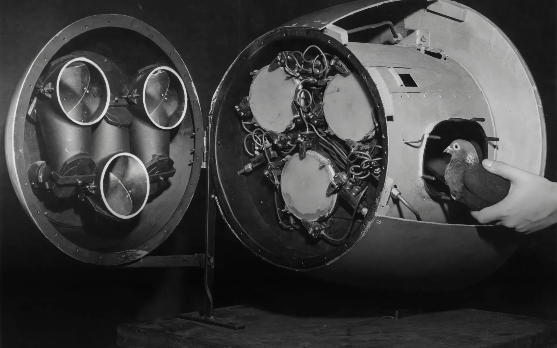 다운로드: Big Tech의 탄소 제거 계획과 차세대 원자로