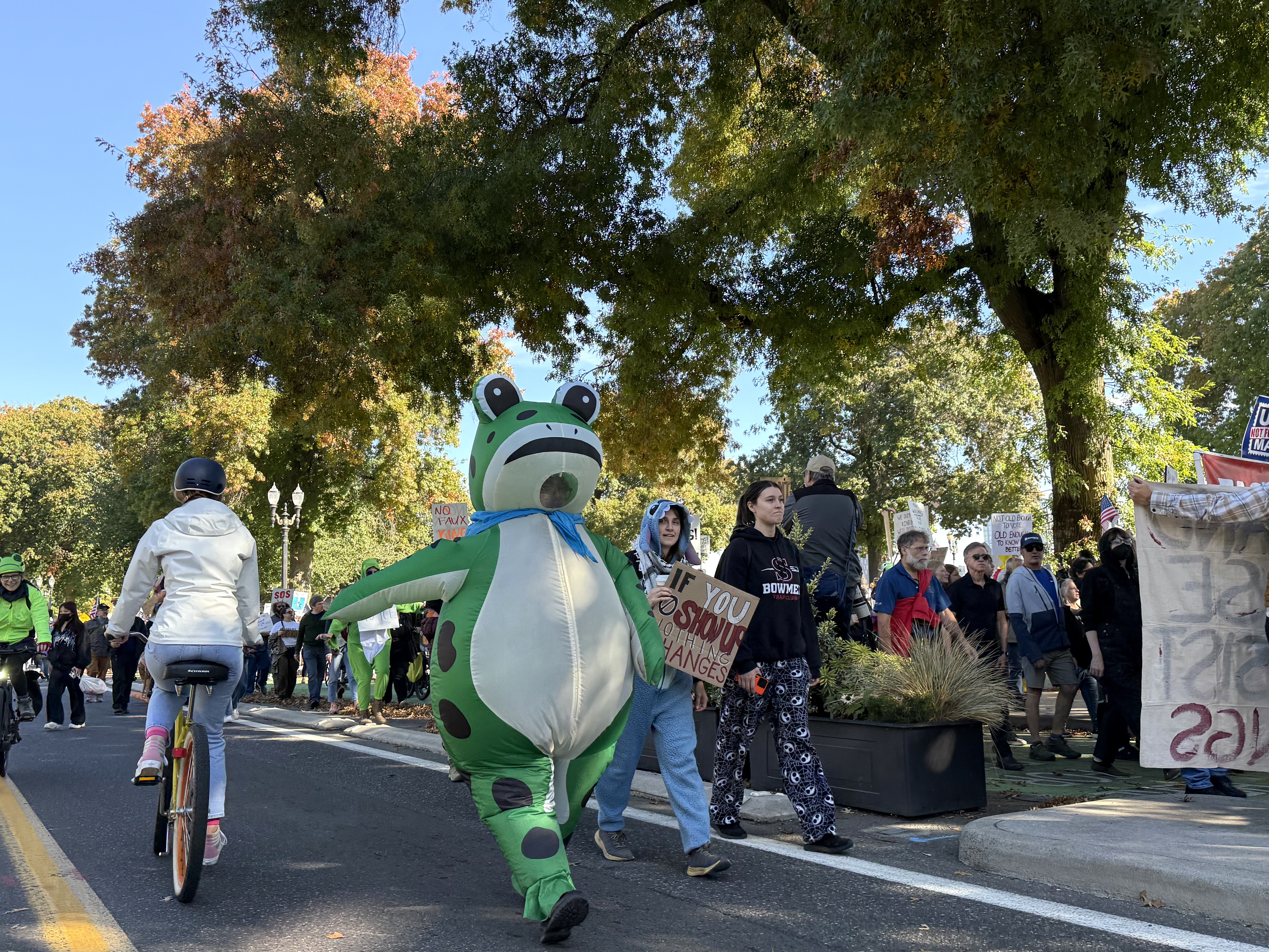 개구리들의 행진