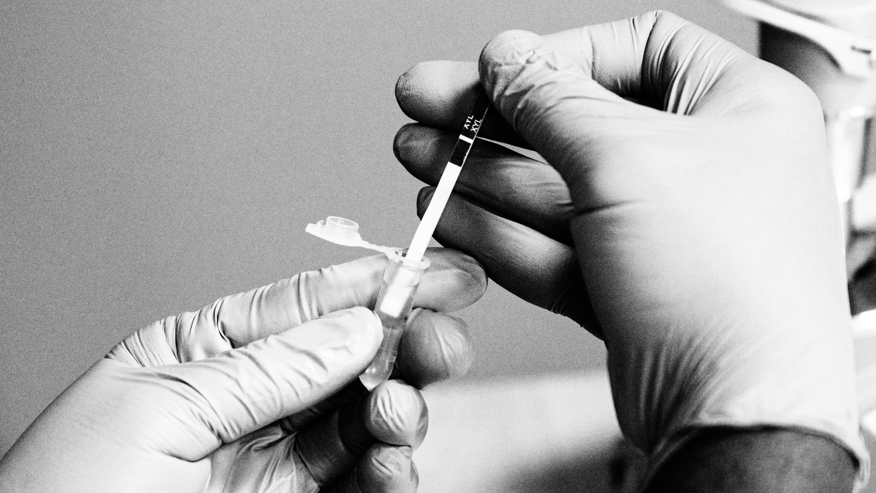 다운로드: 행성 사냥과 인도의 전자 스쿠터